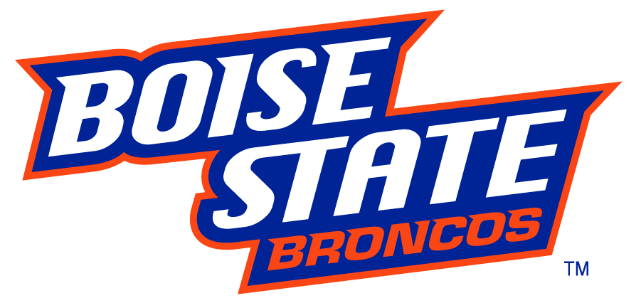 Boise State Broncos 2002-2012 Wordmark Logo v7 t shirts iron on transfers